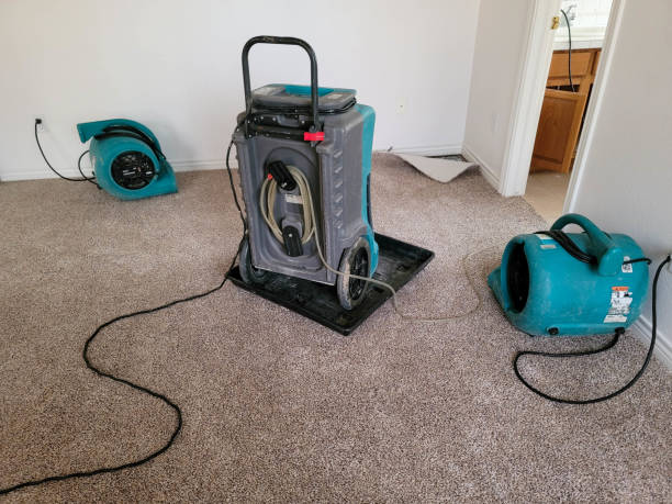 Best Carpet water damage restoration  in Plymouth, OH