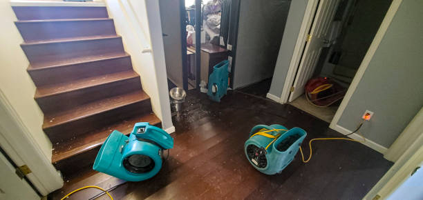Best Water damage cleanup near me  in Plymouth, OH