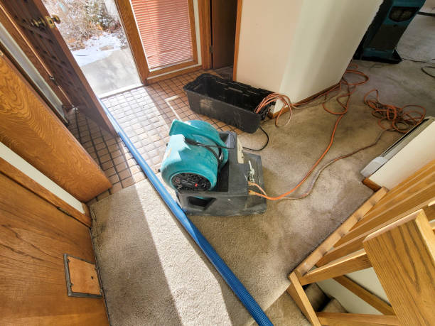 Best Water damage restoration experts  in Plymouth, OH