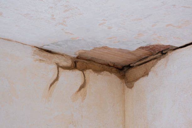 Best Flood damage cleanup  in Plymouth, OH