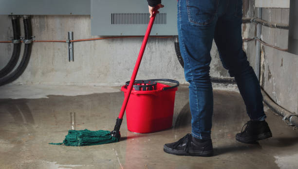 Best Sewage cleanup and water damage restoration  in Plymouth, OH
