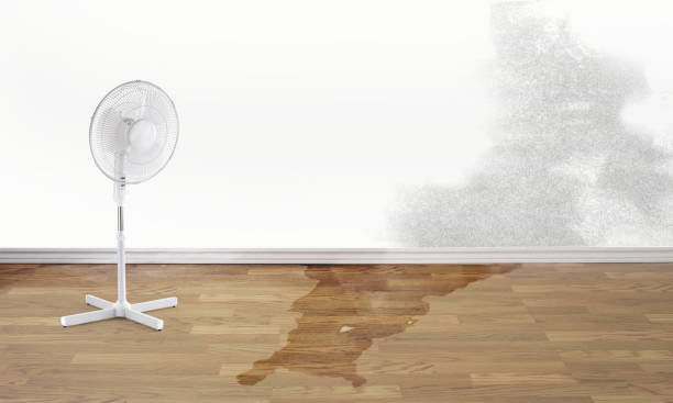 Best Water damage restoration near me  in Plymouth, OH